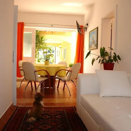 Apartments Iva Orebic Room photo